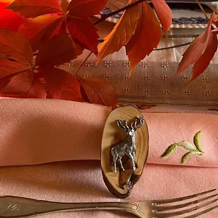 فندق مبيت وإفطار Castiglione 27 Luxury