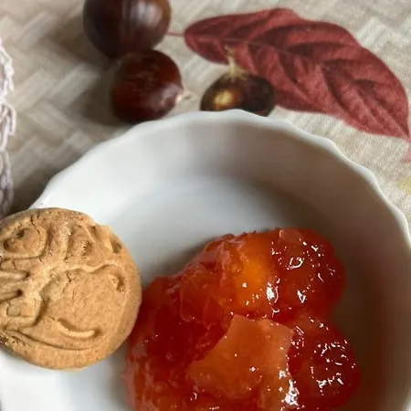 Bed & Breakfast Castiglione 27 Luxury Bologna