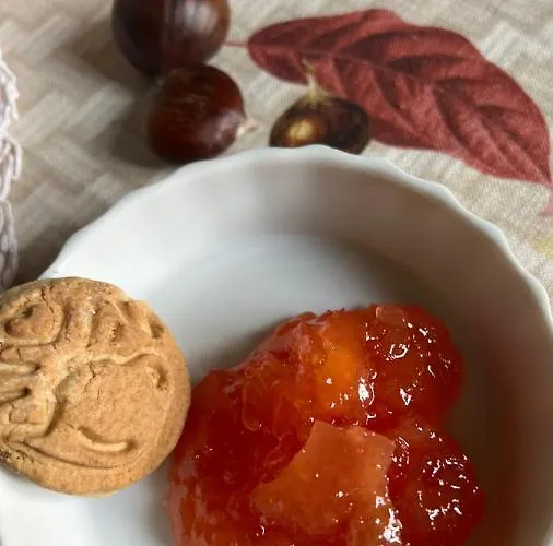 Couette-café Castiglione 27 Luxury Bologne