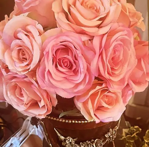 Couette-café Castiglione 27 Luxury Bologne