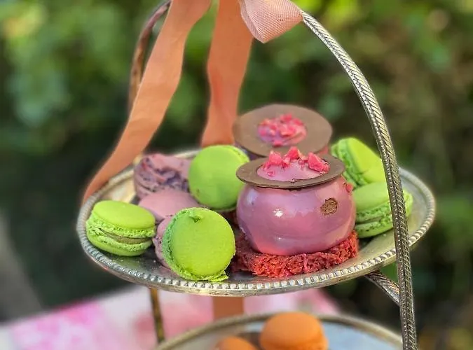 Castiglione 27 Luxury 4* 볼로냐