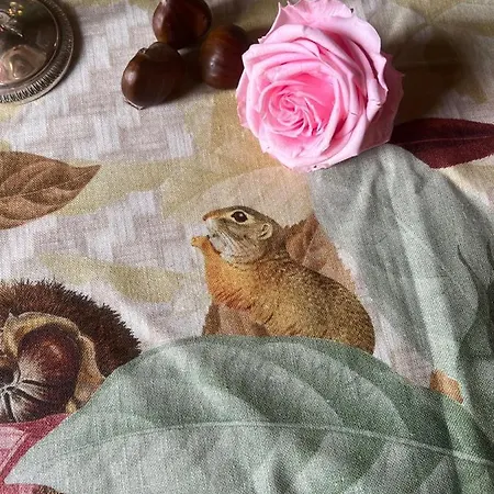 ベッド・アンド・ブレックファスト Castiglione 27 Luxury 4*